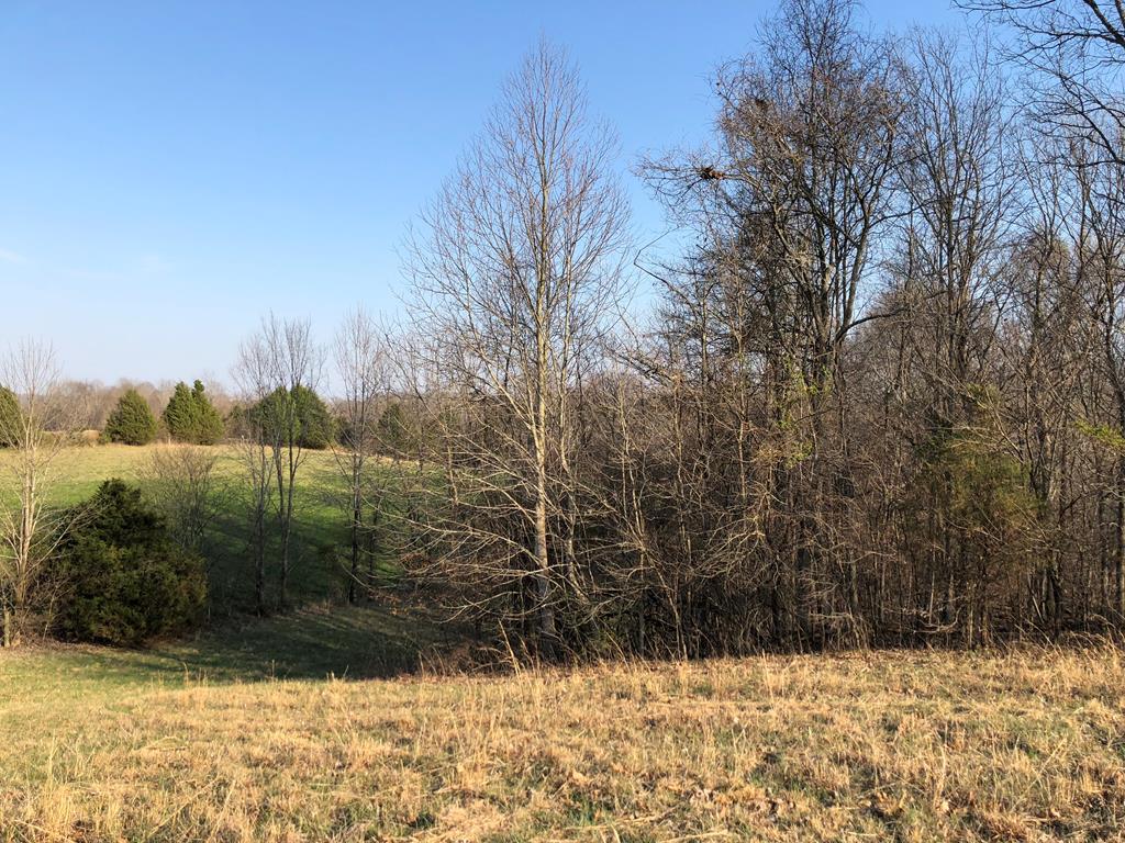 950 Johnney Harvey Road Breeding, KY 42715 - Photo 13 of 26 Gallery Image 13