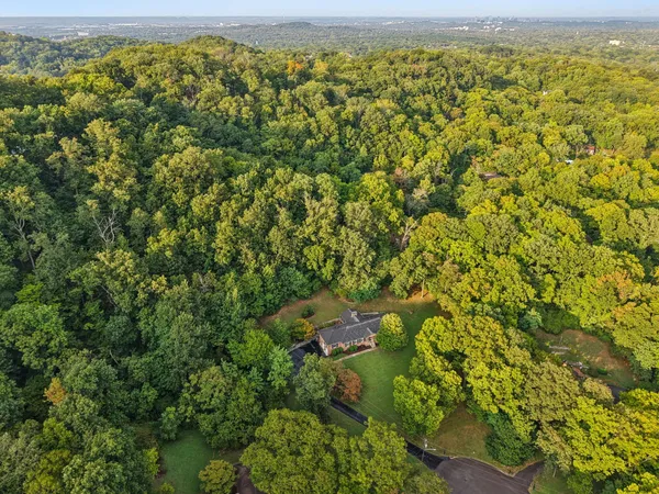 a view of a large yard with lots of green space