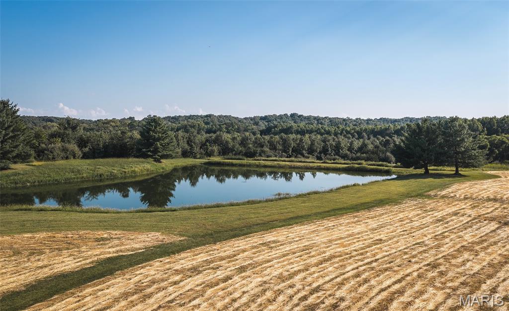 0 North 1200th (13 Ac) Road Colchester, IL 62326 - Photo 9 of 25 Gallery Image 9
