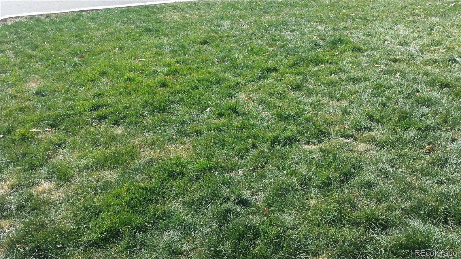1695 South Raleigh Street Denver, CO 80219 - Photo 6 of 22 Gallery Image 6