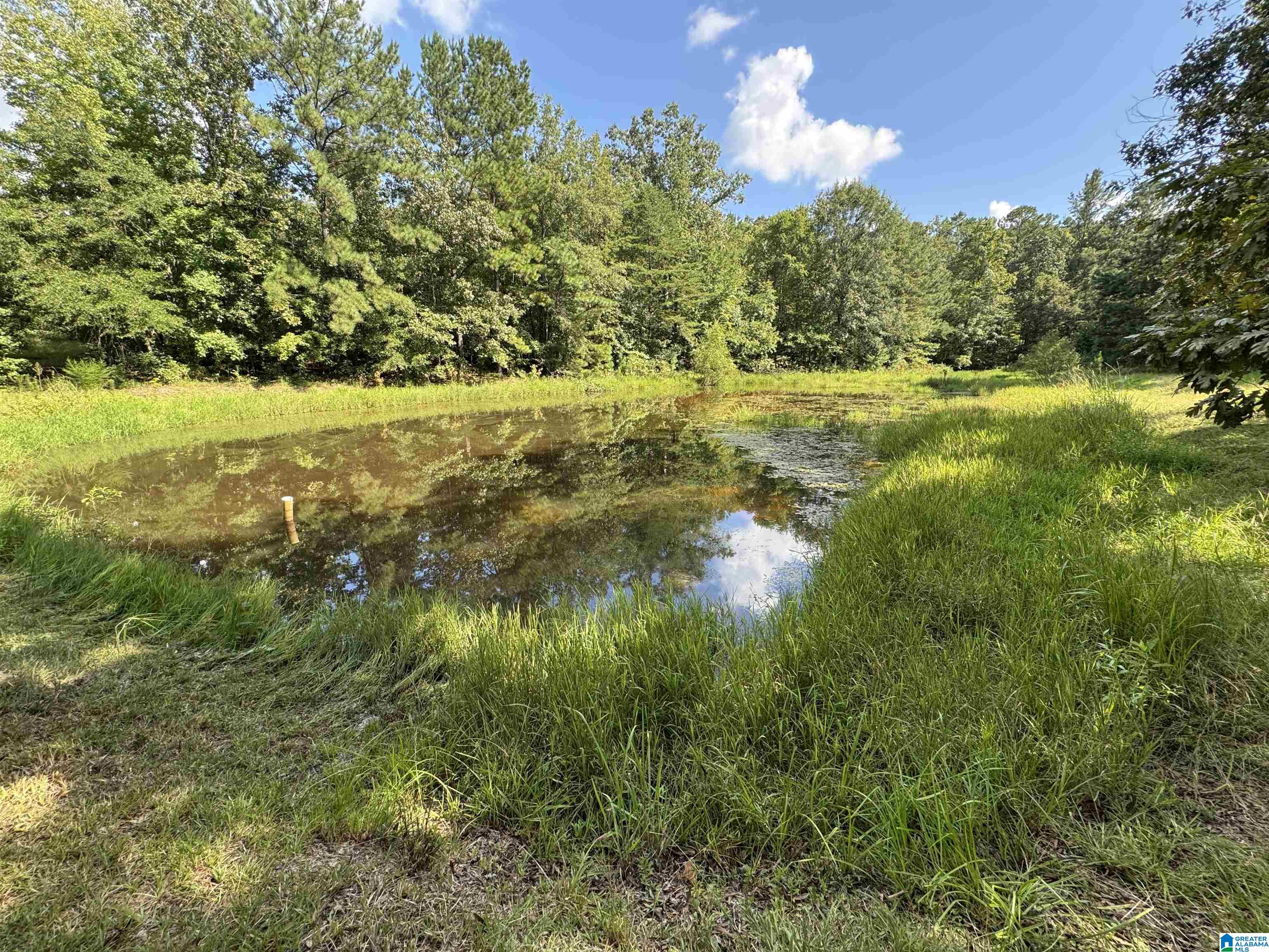 20394 County Road 55 Sterrett, AL 35147 - Photo 1 of 43
