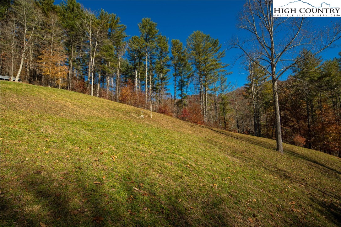 209 Wards Branch Road Sugar Grove, NC 28679 - Photo 50 of 50 Gallery Image 50