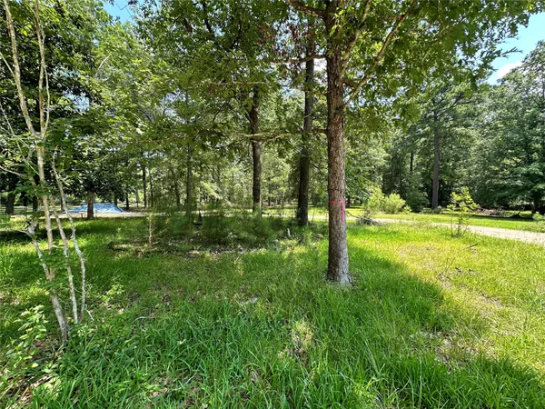 $448,900 | 222 County Road 3085, Colmesneil, TX 75938