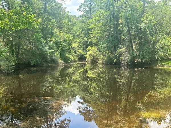 $448,900 | 222 County Road 3085, Colmesneil, TX 75938