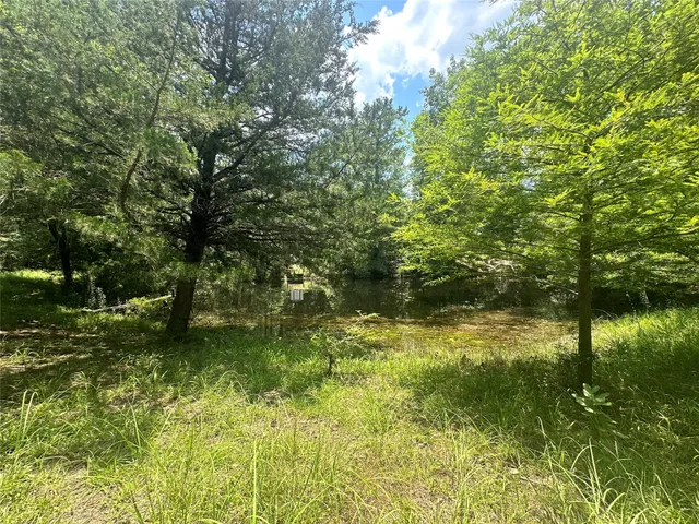 $448,900 | 222 County Road 3085, Colmesneil, TX 75938