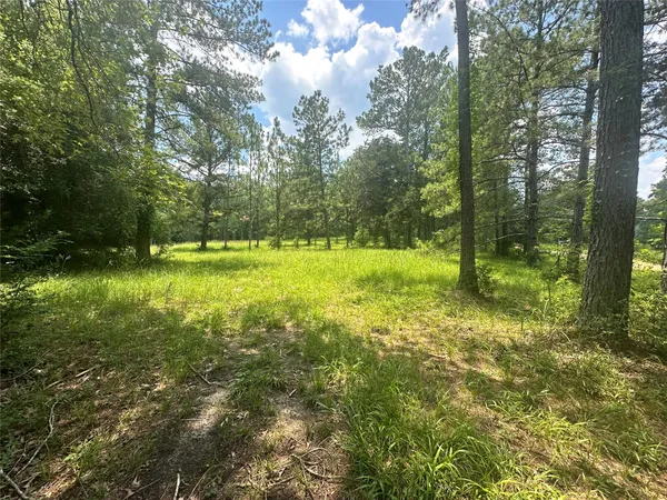 $448,900 | 222 County Road 3085, Colmesneil, TX 75938