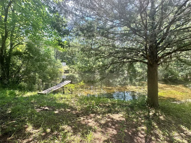 $448,900 | 222 County Road 3085, Colmesneil, TX 75938