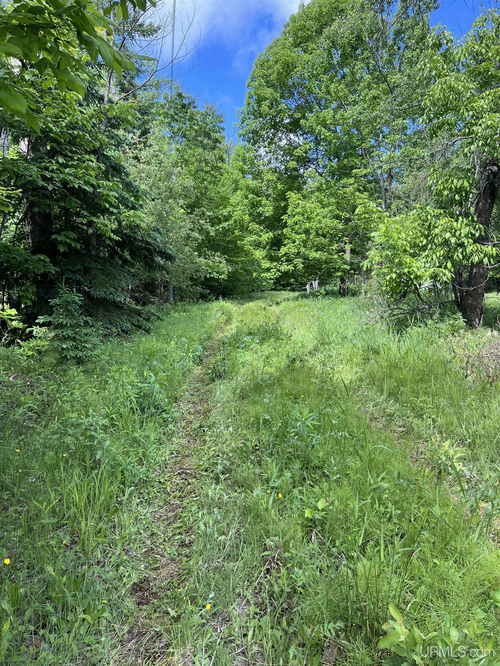 Tbd Roland Lake Road Skanee, MI 49962 - Photo 17 of 18