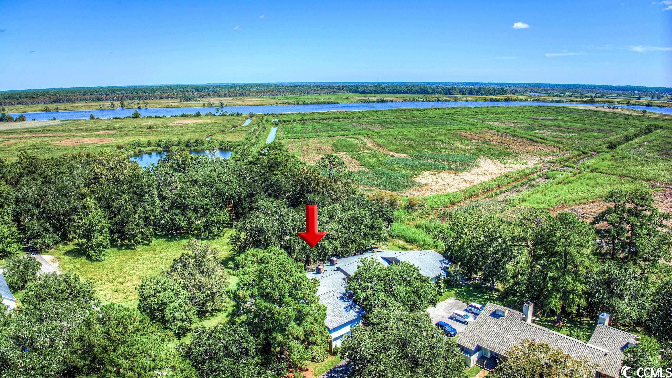 836 Wraggs Ferry Road, Unit 101 Georgetown, SC 29440 - Photo 7 of 39 Gallery Image 7