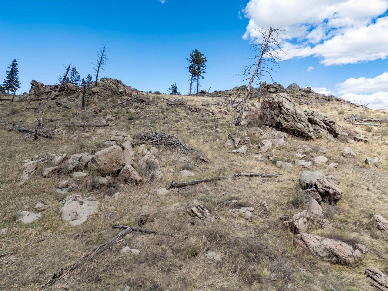 3069 Davis Ranch Road Bellvue, CO 80512 - Photo 36 of 39