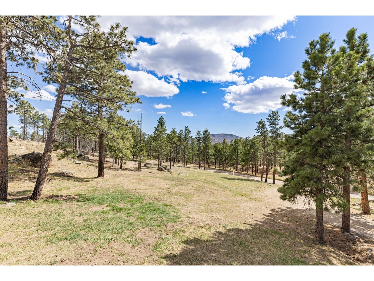 3069 Davis Ranch Road Bellvue, CO 80512 - Photo 8 of 39