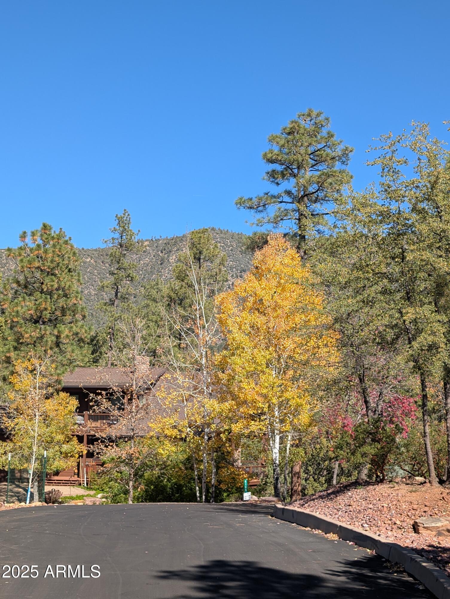 4165 West W Forest Pine, AZ 85544 - Photo 24 of 24 a view of a yard