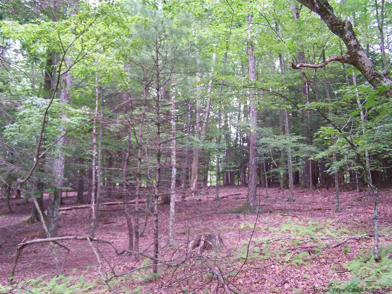 Tbd Beaverkill Road Olivebridge, NY 12461 - Photo 11 of 32 a backyard of a house with lots of green space and chair
