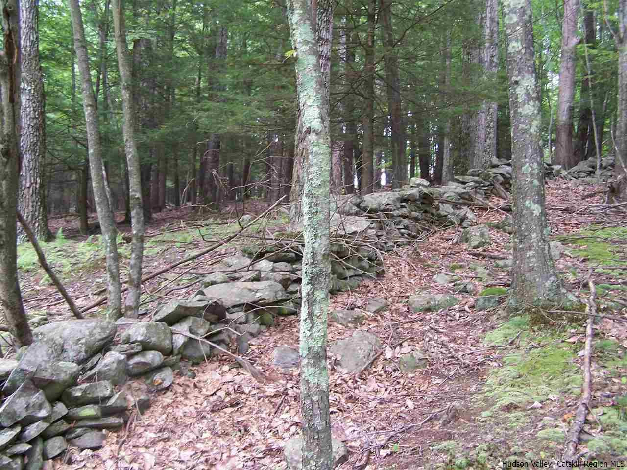Tbd Beaverkill Road Olivebridge, NY 12461 - Photo 12 of 32 a view of a forest filled with trees