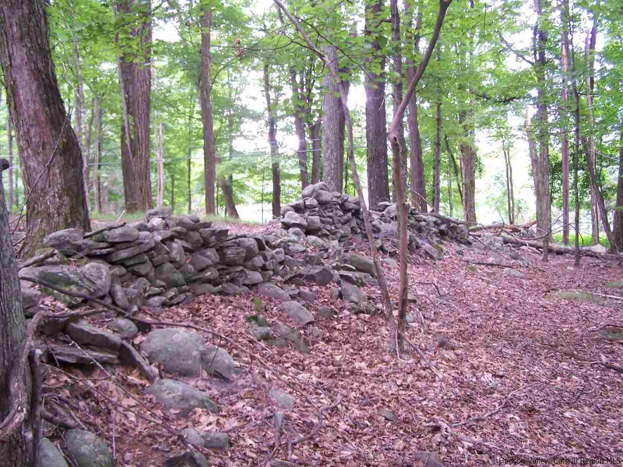 Tbd Beaverkill Road Olivebridge, NY 12461 - Photo 17 of 32