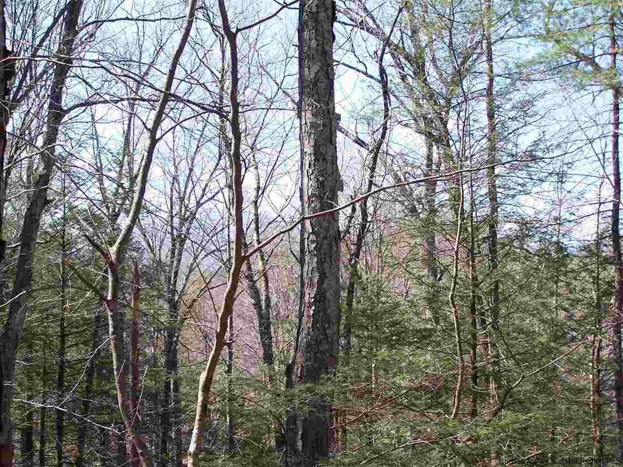 Tbd Beaverkill Road Olivebridge, NY 12461 - Photo 18 of 32 not sure