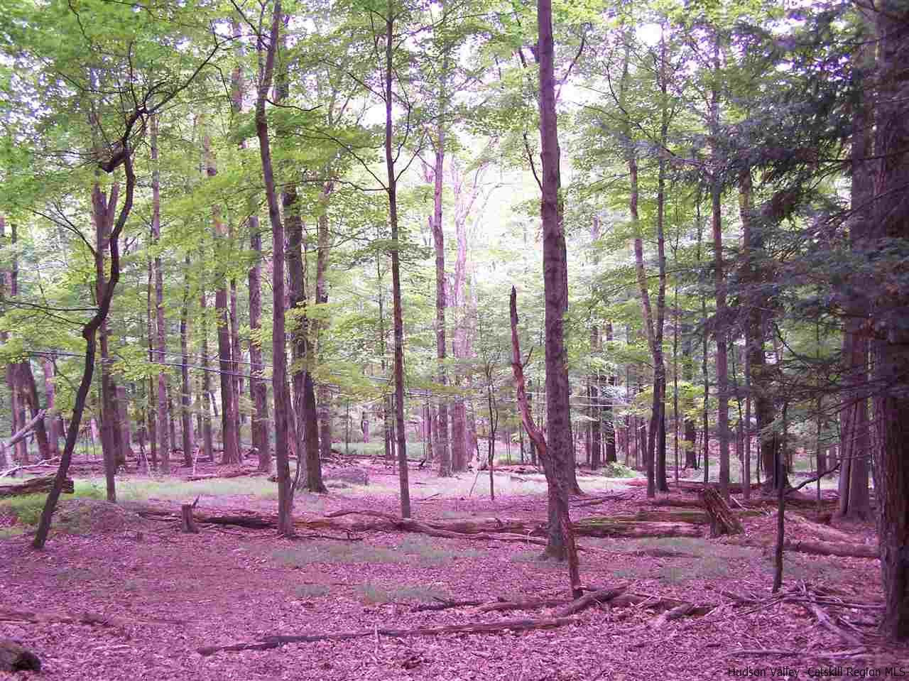 Tbd Beaverkill Road Olivebridge, NY 12461 - Photo 19 of 32 a backyard of a house with lots of green space