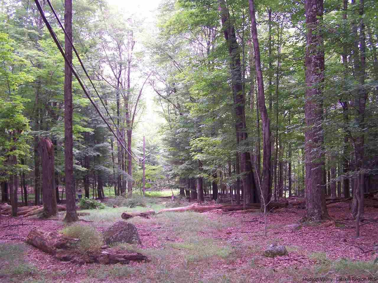 Tbd Beaverkill Road Olivebridge, NY 12461 - Photo 22 of 32 a backyard of a house with lots of green space