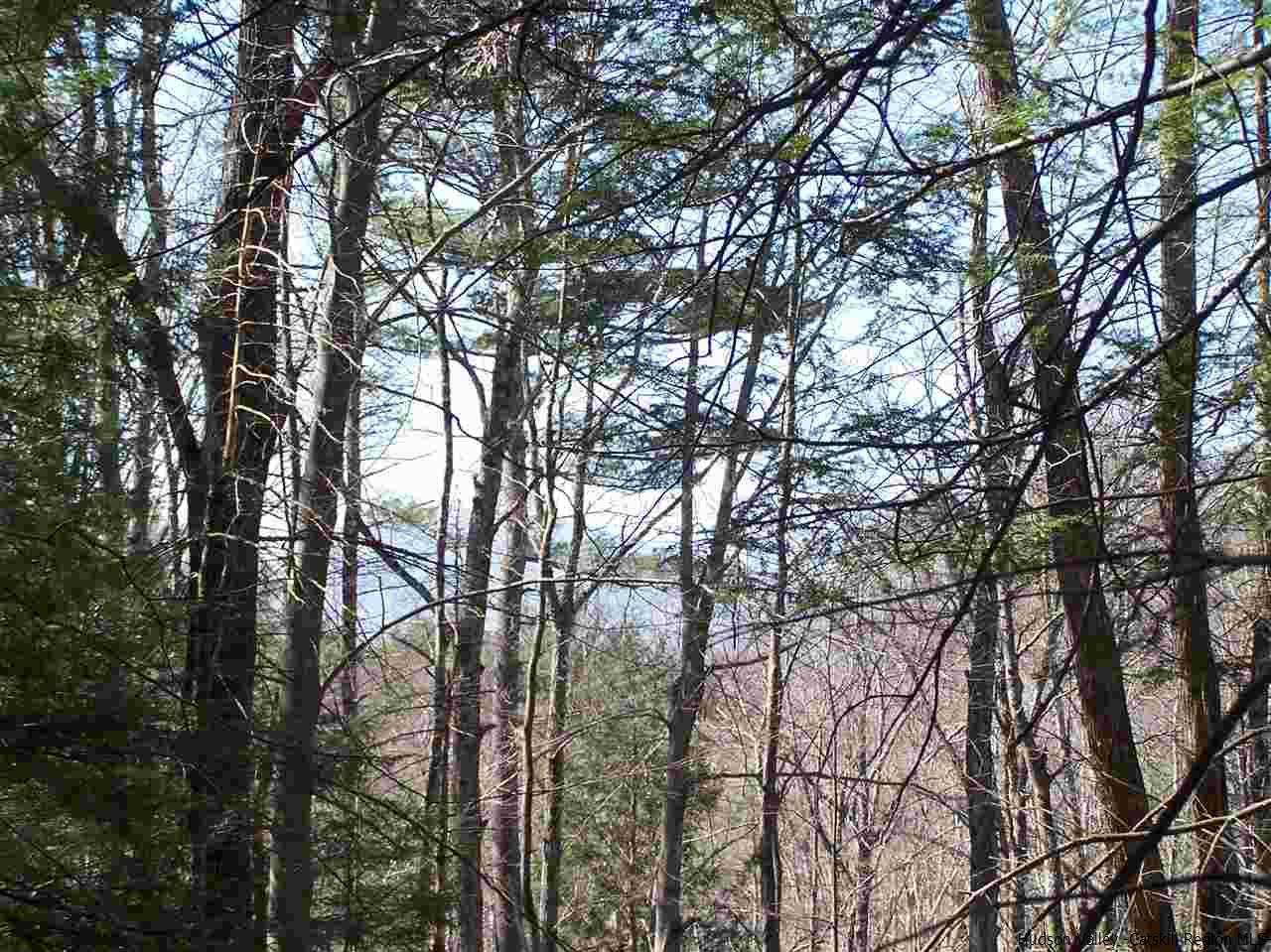 Tbd Beaverkill Road Olivebridge, NY 12461 - Photo 25 of 32