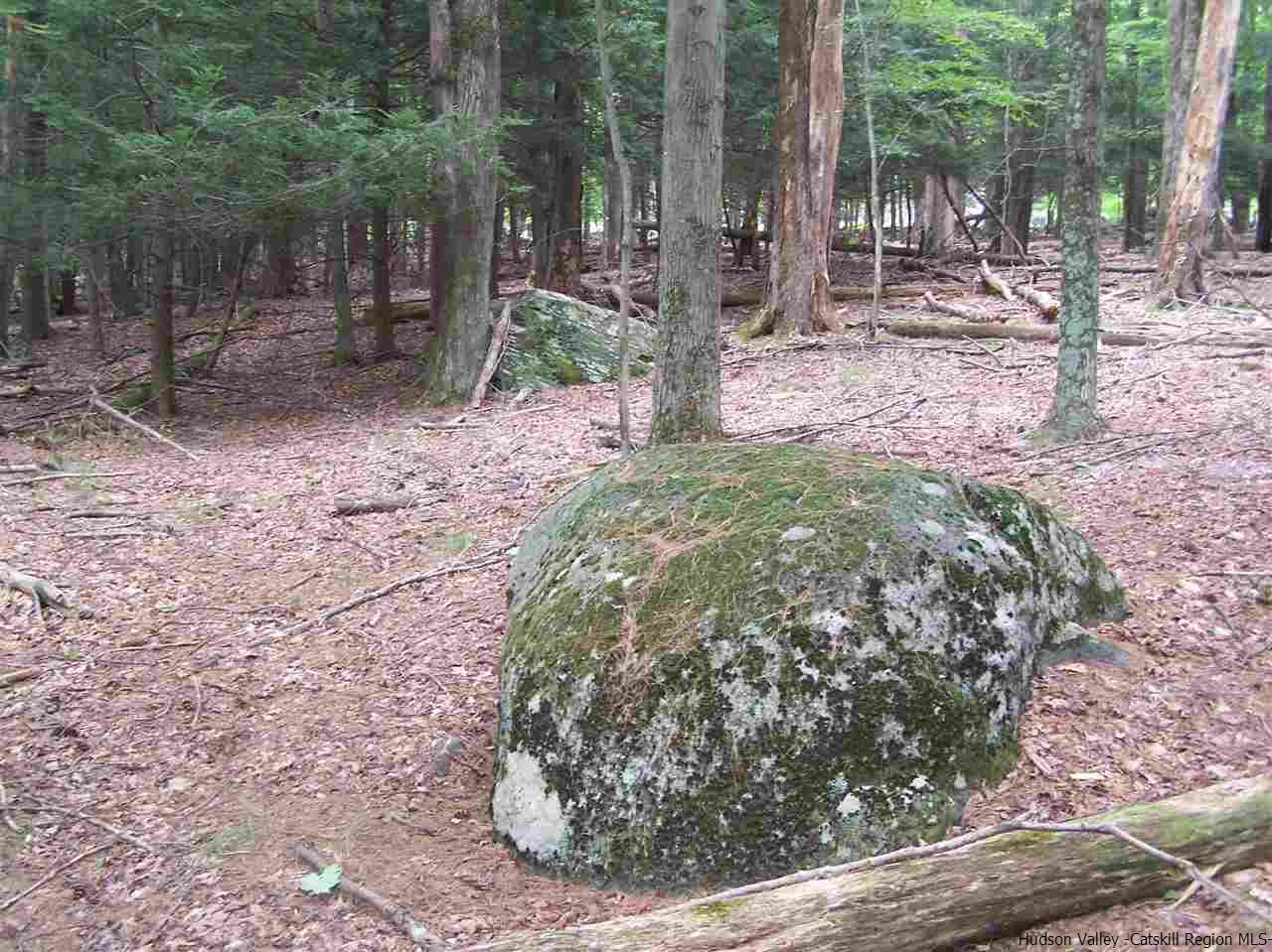Tbd Beaverkill Road Olivebridge, NY 12461 - Photo 26 of 32 a backyard of a house with lots of green space