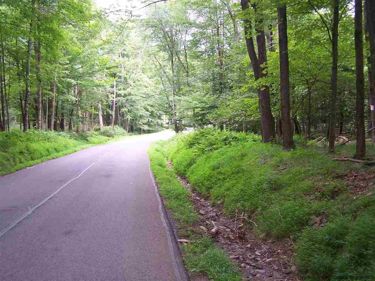 Tbd Beaverkill Road Olivebridge, NY 12461 - Photo 31 of 32 a view of a road with a trees in the background