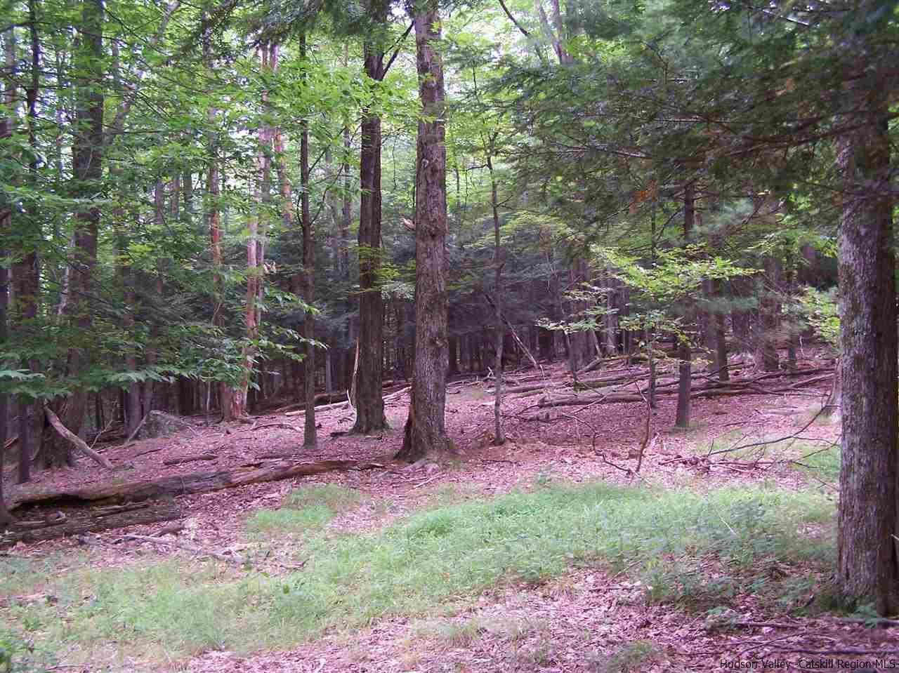 Tbd Beaverkill Road Olivebridge, NY 12461 - Photo 32 of 32 a backyard of a house with lots of green space