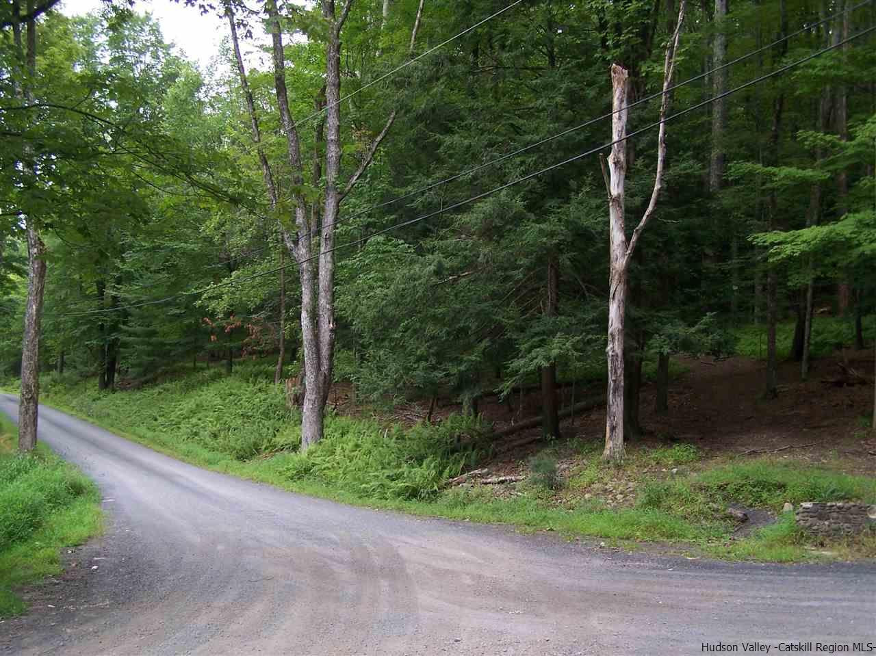 Tbd Beaverkill Road Olivebridge, NY 12461 - Photo 5 of 32 a view of a forest with a trees