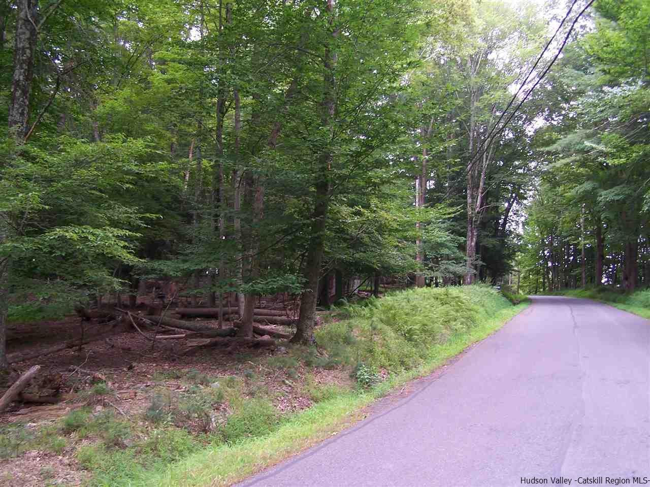 Tbd Beaverkill Road Olivebridge, NY 12461 - Photo 6 of 32 a backyard of a house with lots of green space and fountain