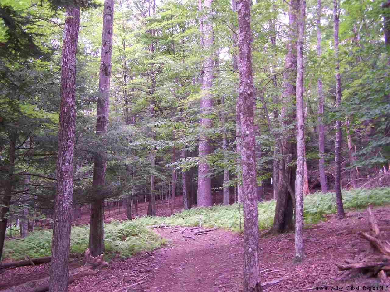 Tbd Beaverkill Road Olivebridge, NY 12461 - Photo 7 of 32 a backyard of a house with lots of green space and garden