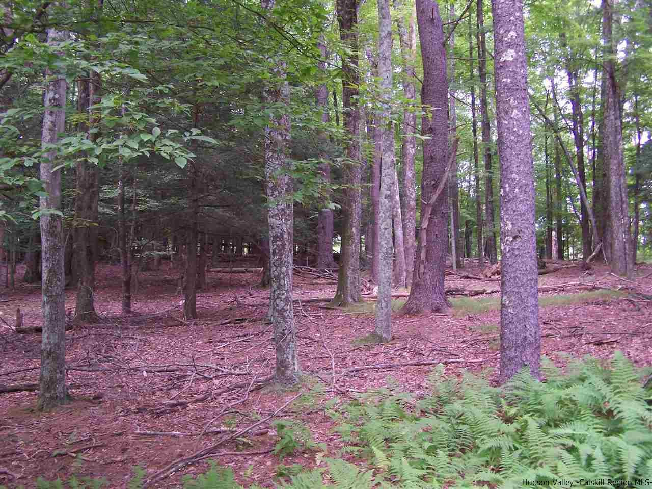 Tbd Beaverkill Road Olivebridge, NY 12461 - Photo 8 of 32 a backyard of a house with lots of green space