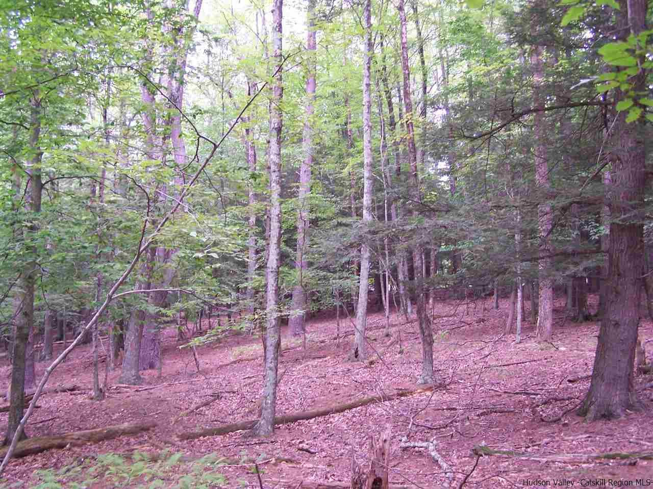 Tbd Beaverkill Road Olivebridge, NY 12461 - Photo 9 of 32 a backyard of a house with lots of green space and covered by trees