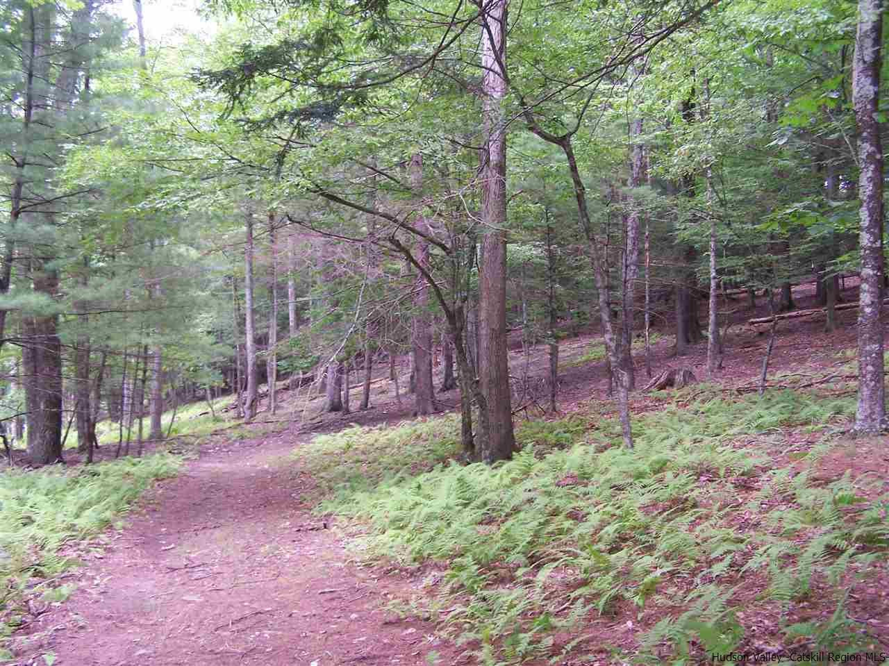 Tbd Beaverkill Road Olivebridge, NY 12461 - Photo 10 of 32 a backyard of a house with lots of green space