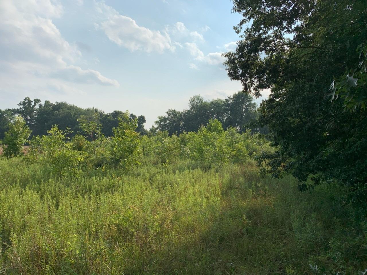 0 Benning Road Sunman, IN 47041 - Photo 10 of 11