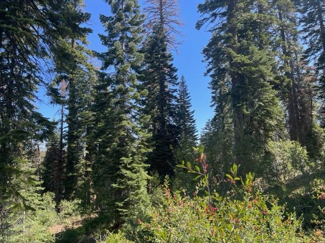 0 Big Creek Road Quincy, CA 95971 - Photo 2 of 19