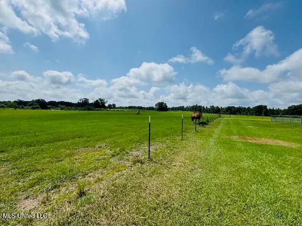 $375,000 | 1168 Clem Nettles Road, Jayess, MS 39641