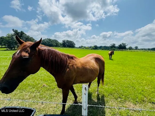 $375,000 | 1168 Clem Nettles Road, Jayess, MS 39641