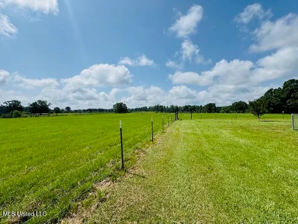 $375,000 | 1168 Clem Nettles Road, Jayess, MS 39641