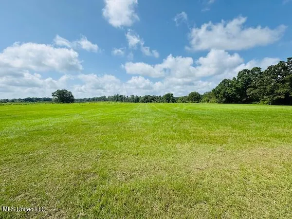 $375,000 | 1168 Clem Nettles Road, Jayess, MS 39641
