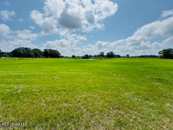 $375,000 | 1168 Clem Nettles Road, Jayess, MS 39641