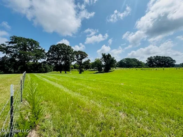 $375,000 | 1168 Clem Nettles Road, Jayess, MS 39641