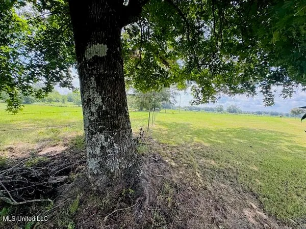 $375,000 | 1168 Clem Nettles Road, Jayess, MS 39641