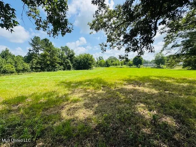 $385,000 | 1168 Clem Nettles Road, Jayess, MS 39641