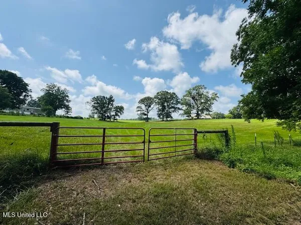 $375,000 | 1168 Clem Nettles Road, Jayess, MS 39641