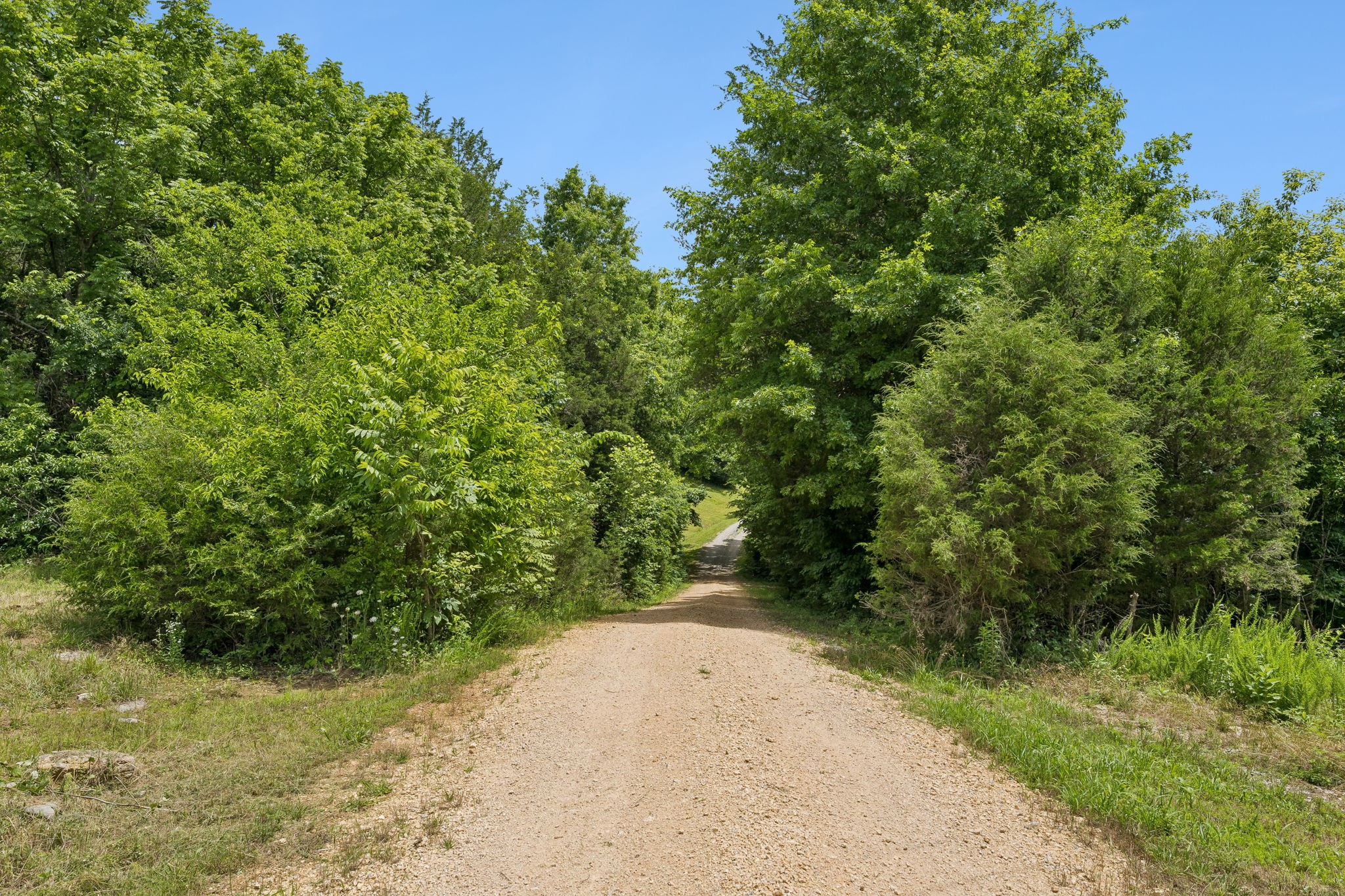 2865 Springplace Road Belfast, TN 37019 - Photo 50 of 75