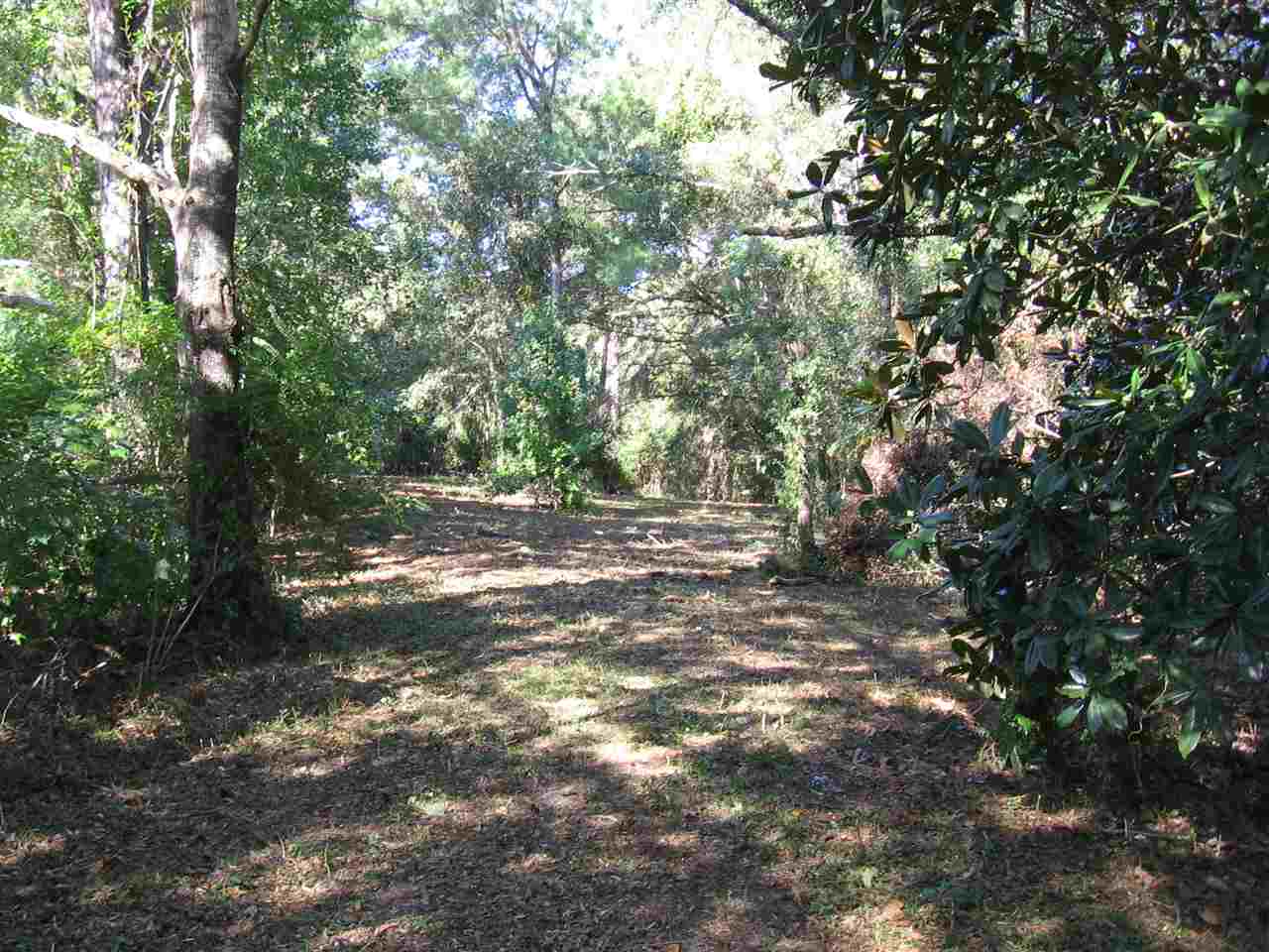 Benjamin Chaires Road Tallahassee, FL 32317 - Photo 7 of 12 Gallery Image 7