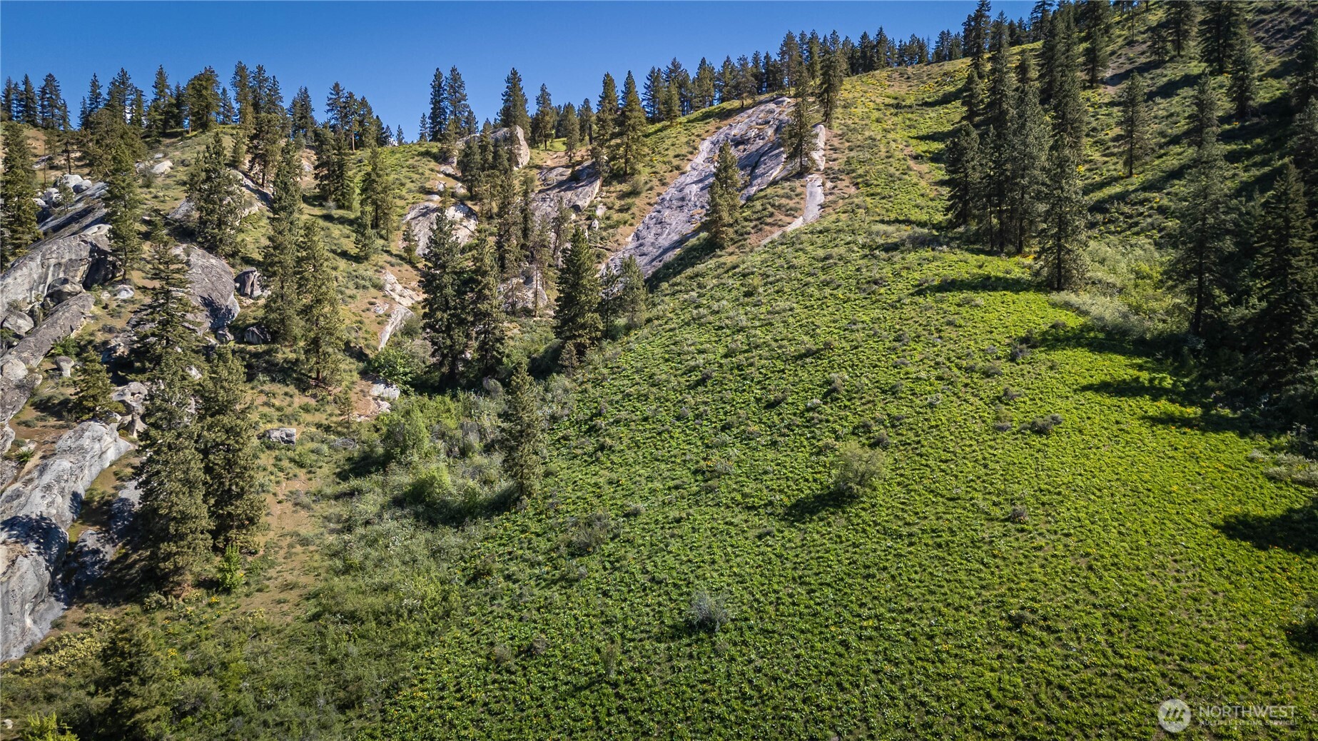 0 Sky Meadows Road Cashmere, WA 98815 - Photo 12 of 40 Gallery Image 12
