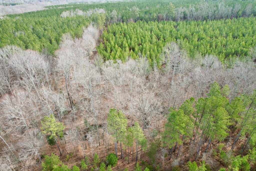 613 Gills Bridge Road Rawlings, VA 23876 - Photo 10 of 34 Gallery Image 10