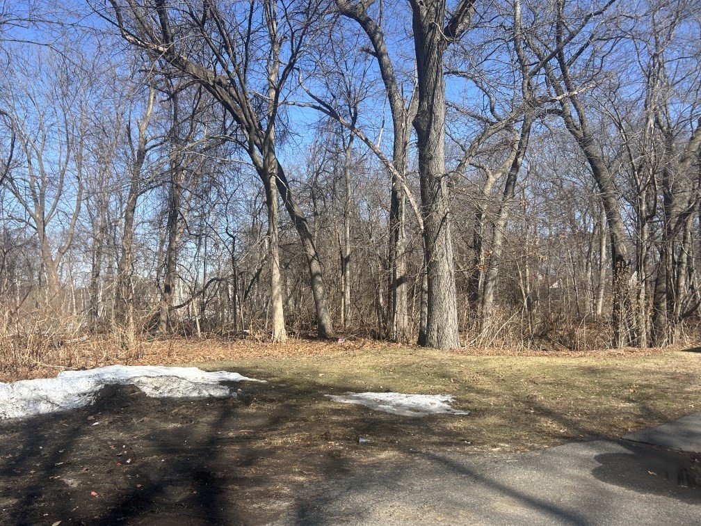 0 Marsden Street Springfield, MA 01109 - Photo 1 of 6