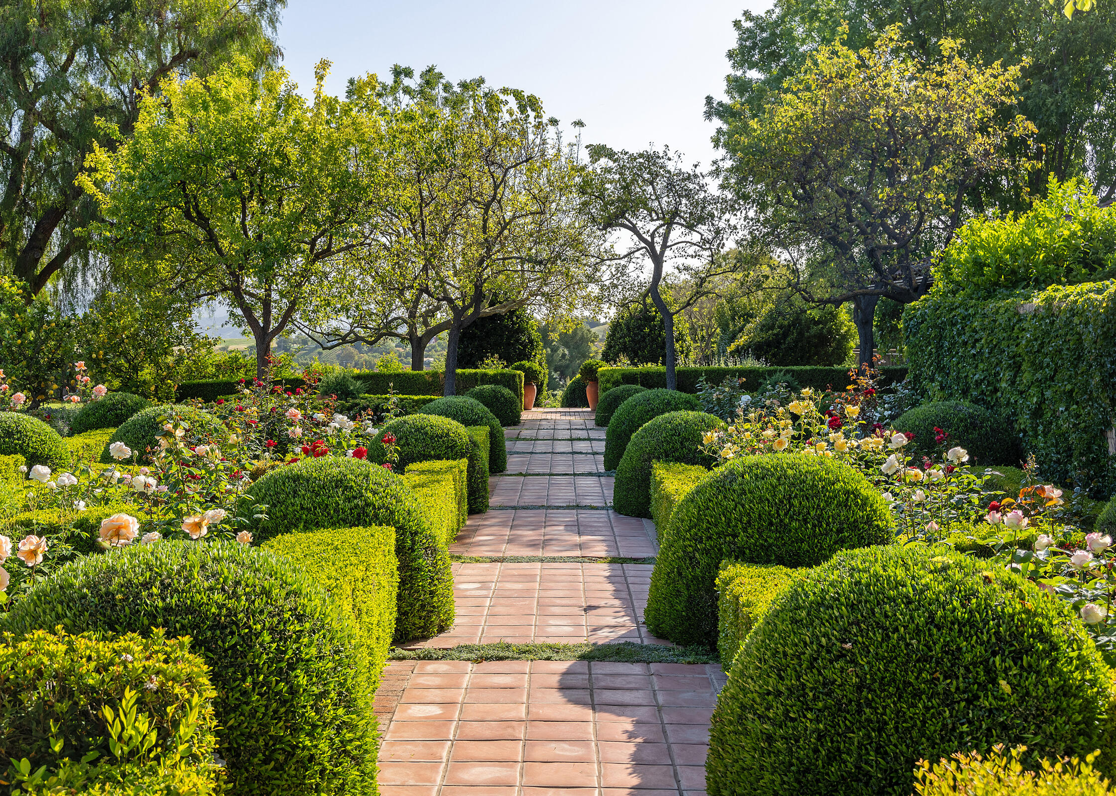 1620 Westerly Road Santa Ynez, CA 93460 - Photo 16 of 41 Rose garden