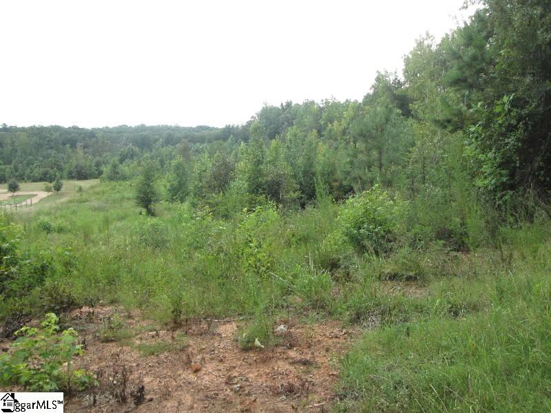 246 Johnson Road Laurens, SC 29360 - Photo 1 of 7